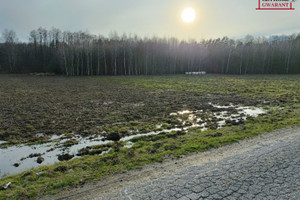 Działka na sprzedaż węgrowski Grębków Kózki - zdjęcie 2