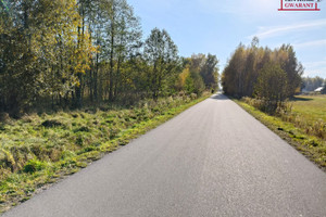 Działka na sprzedaż 15010m2 siedlecki Kotuń Albinów - zdjęcie 3