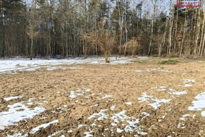 Działka na sprzedaż 800m2 miński Mrozy - zdjęcie 3