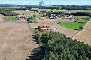 Działka na sprzedaż nowomiejski Grodziczno Świniarc - zdjęcie 3