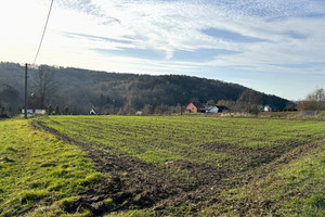 Działka na sprzedaż 11934m2 bocheński Łapanów Cichawka - zdjęcie 3