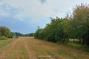 Działka na sprzedaż 29002m2 żyrardowski Puszcza Mariańska Aleksandria - zdjęcie 2