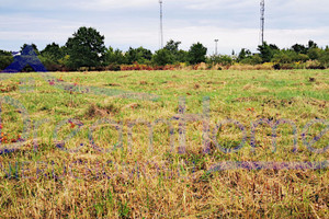 Działka na sprzedaż 8716m2 wołowski Wołów - zdjęcie 3