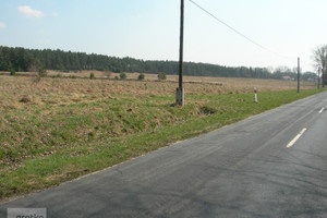 Działka na sprzedaż poznański Tarnowo Podgórne - zdjęcie 1