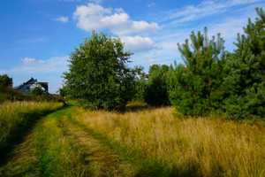 Komercyjne na sprzedaż 5559m2 Mysłowice Krasowy Franciszka Kościelniaka - zdjęcie 2