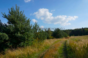 Komercyjne na sprzedaż 5559m2 Mysłowice Krasowy Franciszka Kościelniaka - zdjęcie 1