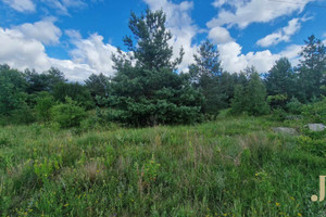 Działka na sprzedaż 1000m2 szczycieński Jedwabno - zdjęcie 3