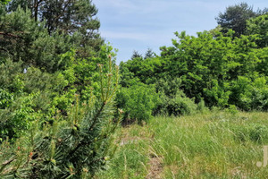 Działka na sprzedaż 6600m2 Olsztyn Gutkowo Przepiórcza - zdjęcie 1