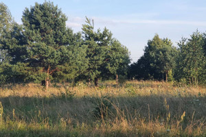 Działka na sprzedaż 5000m2 olsztyński Dobre Miasto Kabikiejmy Dolne - zdjęcie 1