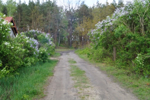 Działka na sprzedaż 938m2 toruński Zławieś Wielka Pędzewo - zdjęcie 3