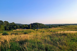 Działka na sprzedaż 7280m2 kartuski Chmielno Maks - zdjęcie 1