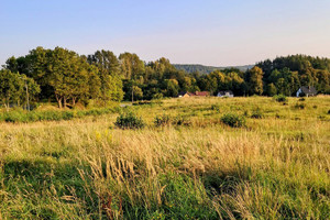 Działka na sprzedaż 7280m2 kartuski Chmielno Maks - zdjęcie 3