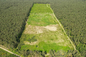 Działka na sprzedaż 3000m2 toruński Lubicz Krobia - zdjęcie 1