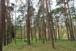 Działka na sprzedaż 3000m2 piaseczyński Konstancin-Jeziorna Potulickich - zdjęcie 4