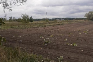 Działka na sprzedaż 10100m2 toruński Lubicz Lubicz Dolny - zdjęcie 3