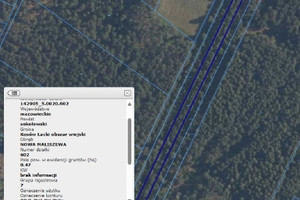 Działka na sprzedaż 27800m2 sokołowski Kosów Lacki Nowa Maliszewa - zdjęcie 2