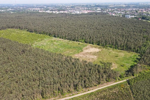 Działka na sprzedaż 3000m2 toruński Lubicz Krobia - zdjęcie 3