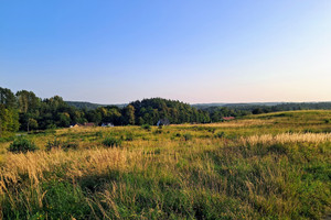 Działka na sprzedaż 5673m2 kartuski Chmielno Maks - zdjęcie 3