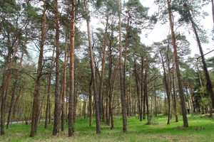 Działka na sprzedaż 3000m2 piaseczyński Konstancin-Jeziorna Potulickich - zdjęcie 2