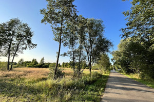 Działka na sprzedaż 5000m2 nowodworski Czosnów Sowia Wola - zdjęcie 3