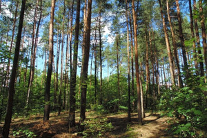 Działka na sprzedaż piaseczyński Konstancin-Jeziorna Długa - zdjęcie 3