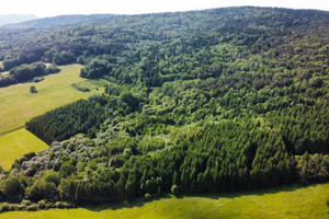 Działka na sprzedaż 100300m2 gorlicki Ropa Łosie - zdjęcie 3