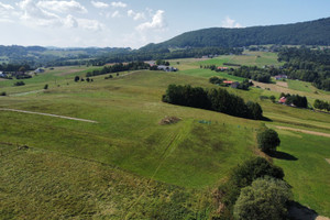 Działka na sprzedaż 6600m2 gorlicki Ropa - zdjęcie 2