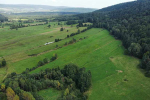 Działka na sprzedaż 15200m2 gorlicki Uście Gorlickie Regietów - zdjęcie 3