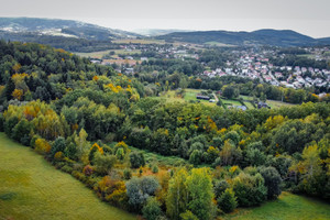 Działka na sprzedaż 11018m2 gorlicki Gorlice - zdjęcie 2