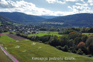 Działka na sprzedaż 3688m2 gorlicki Ropa Łosie - zdjęcie 2