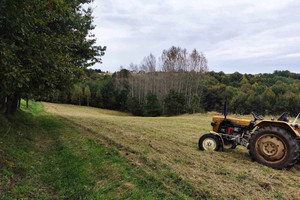 Działka na sprzedaż 7800m2 gorlicki Moszczenica - zdjęcie 3