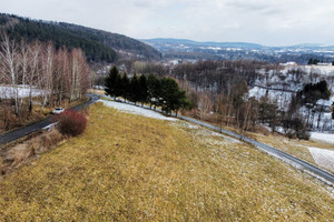 Działka na sprzedaż 5551m2 gorlicki Biecz Strzeszyn - zdjęcie 2