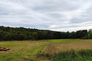 Działka na sprzedaż 7800m2 gorlicki Moszczenica - zdjęcie 1