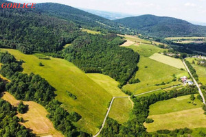 Działka na sprzedaż 100300m2 gorlicki Ropa Łosie - zdjęcie 1