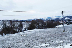 Działka na sprzedaż 5000m2 gorlicki Bobowa - zdjęcie 3