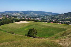 Działka na sprzedaż 6600m2 gorlicki Ropa - zdjęcie 1