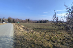 Działka na sprzedaż 2200m2 gorlicki Gorlice - zdjęcie 2