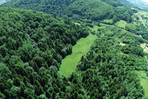 Działka na sprzedaż 13000m2 gorlicki Gorlice Szymbark - zdjęcie 2