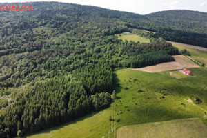 Działka na sprzedaż 100300m2 gorlicki Ropa Łosie - zdjęcie 2