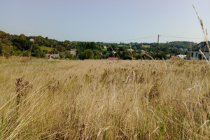 Działka na sprzedaż gorlicki Gorlice Stróżówka - zdjęcie 1