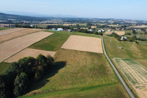 Działka na sprzedaż 7900m2 tarnowski Rzepiennik Strzyżewski Turza - zdjęcie 3