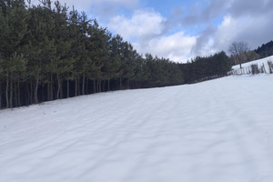 Działka na sprzedaż 3200m2 gorlicki Uście Gorlickie Stawisza - zdjęcie 1