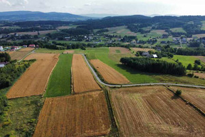 Działka na sprzedaż 9700m2 gorlicki Moszczenica - zdjęcie 2