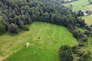 Działka na sprzedaż 15200m2 gorlicki Uście Gorlickie Regietów - zdjęcie 1