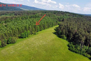 Działka na sprzedaż 50900m2 gorlicki Uście Gorlickie Kunkowa - zdjęcie 1