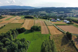 Działka na sprzedaż 9700m2 gorlicki Moszczenica - zdjęcie 3