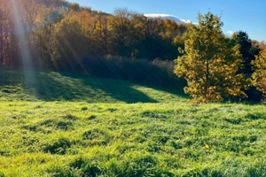 Działka na sprzedaż 4100m2 gorlicki Sękowa Wapienne - zdjęcie 1