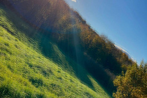 Działka na sprzedaż 4100m2 gorlicki Sękowa Wapienne - zdjęcie 2