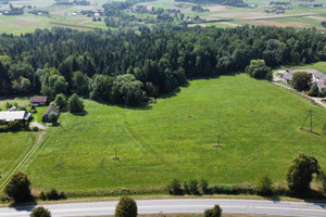 Działka na sprzedaż 3784m2 gorlicki Łużna Mszanka - zdjęcie 3