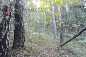 Działka na sprzedaż 7200m2 tarnowski Ciężkowice Falkowa - zdjęcie 1